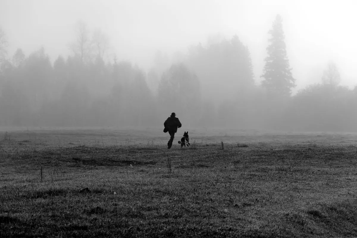 Black Dogs of Britain: A Regional Comparison of Phantom Hounds