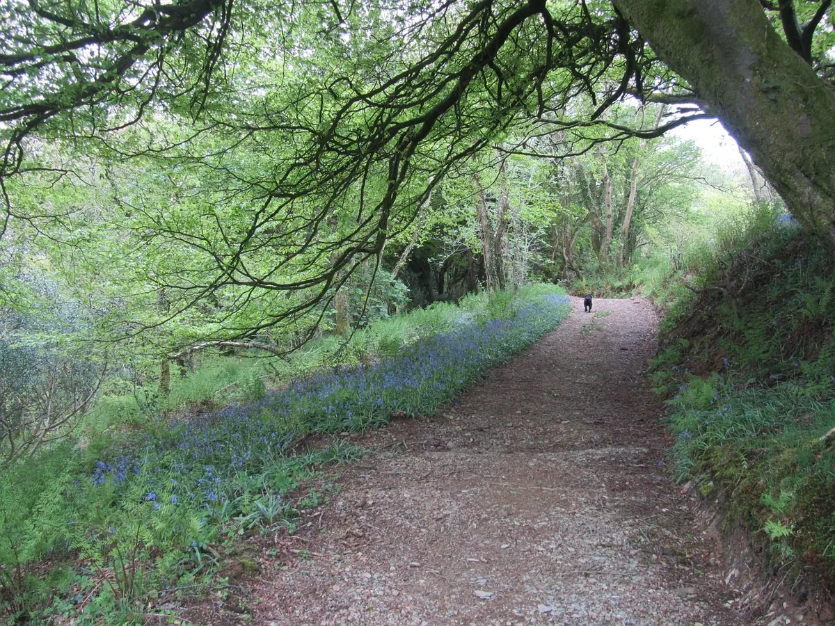 The Difference Between Fairies and Pixies in British Folklore